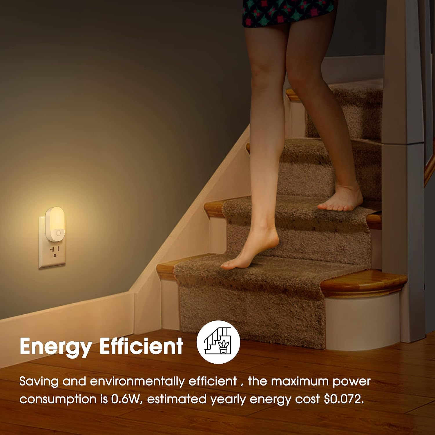 2 Pack LED Dimmable Night Light with Light Sensors