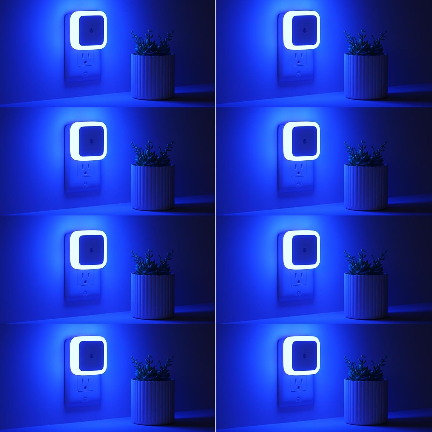 Night Lights Plug into Wall 8-Pack