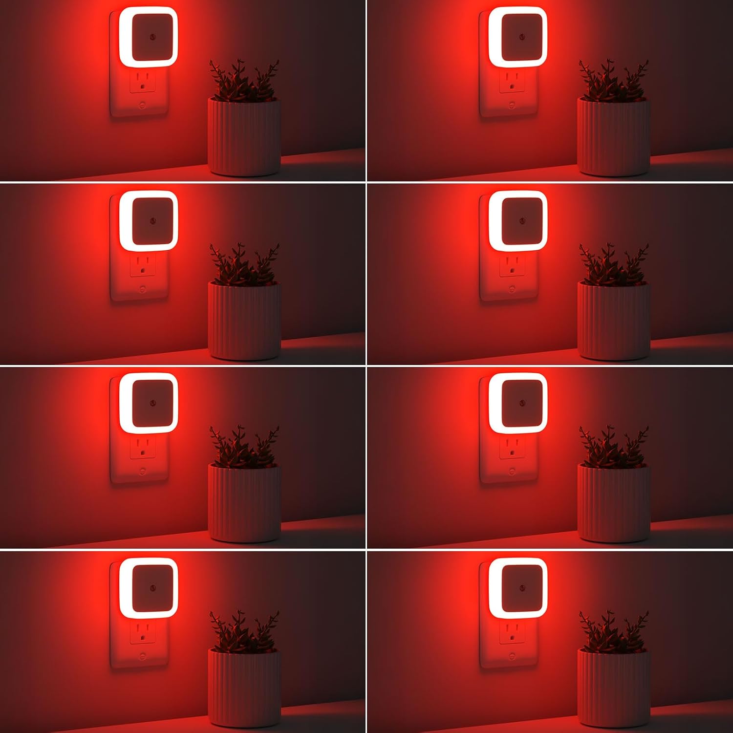 Night Lights Plug into Wall 8-Pack