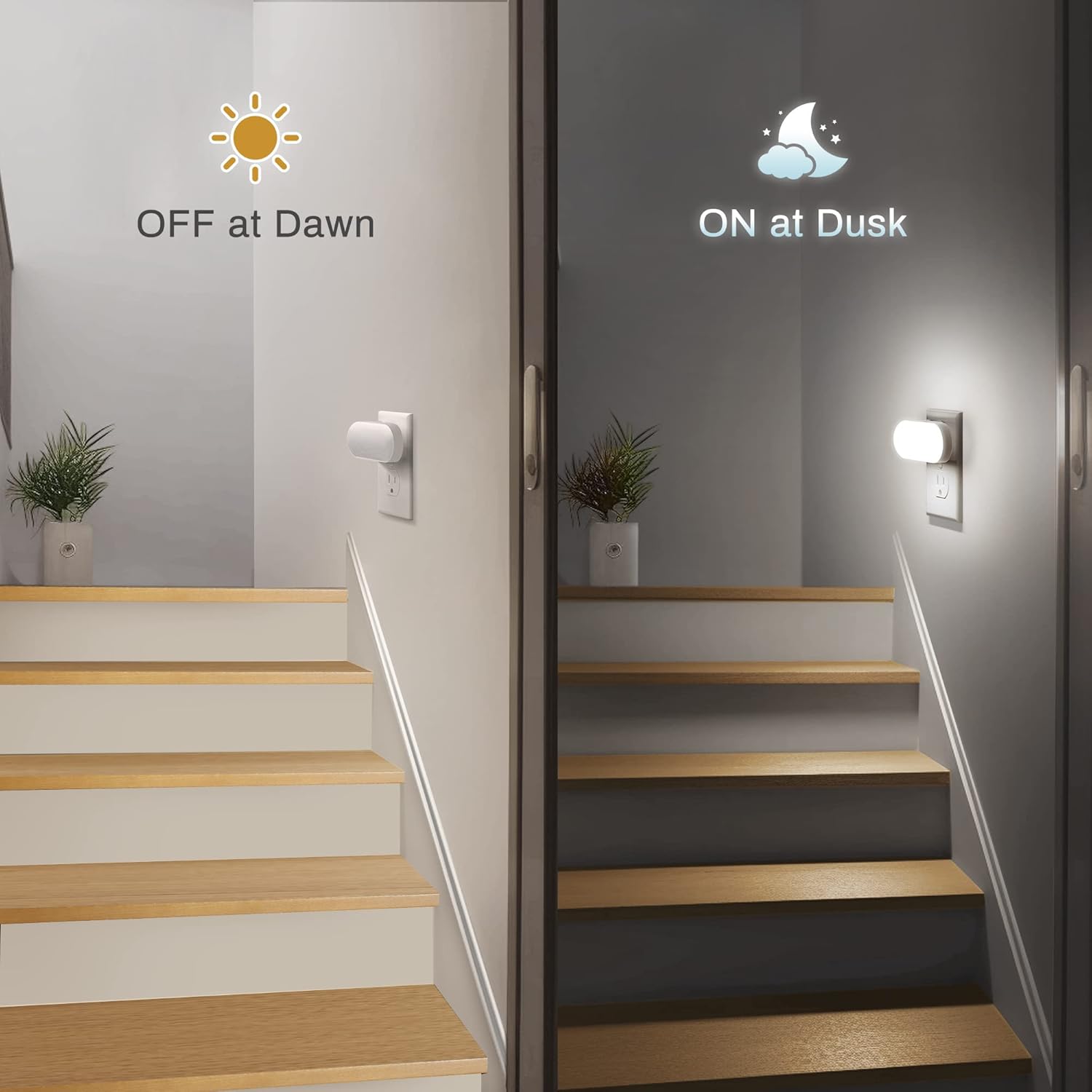 Led Night Light - Plug into Wall