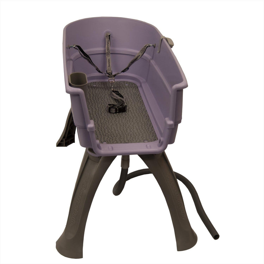 Booster Bath Elevated Pet Bathing Large Teal Steps Combo